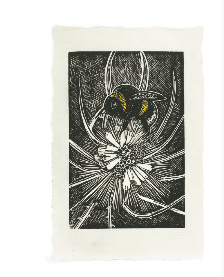 Bee and flower print