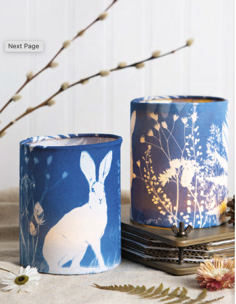 Beginners Guide to Cyanotype