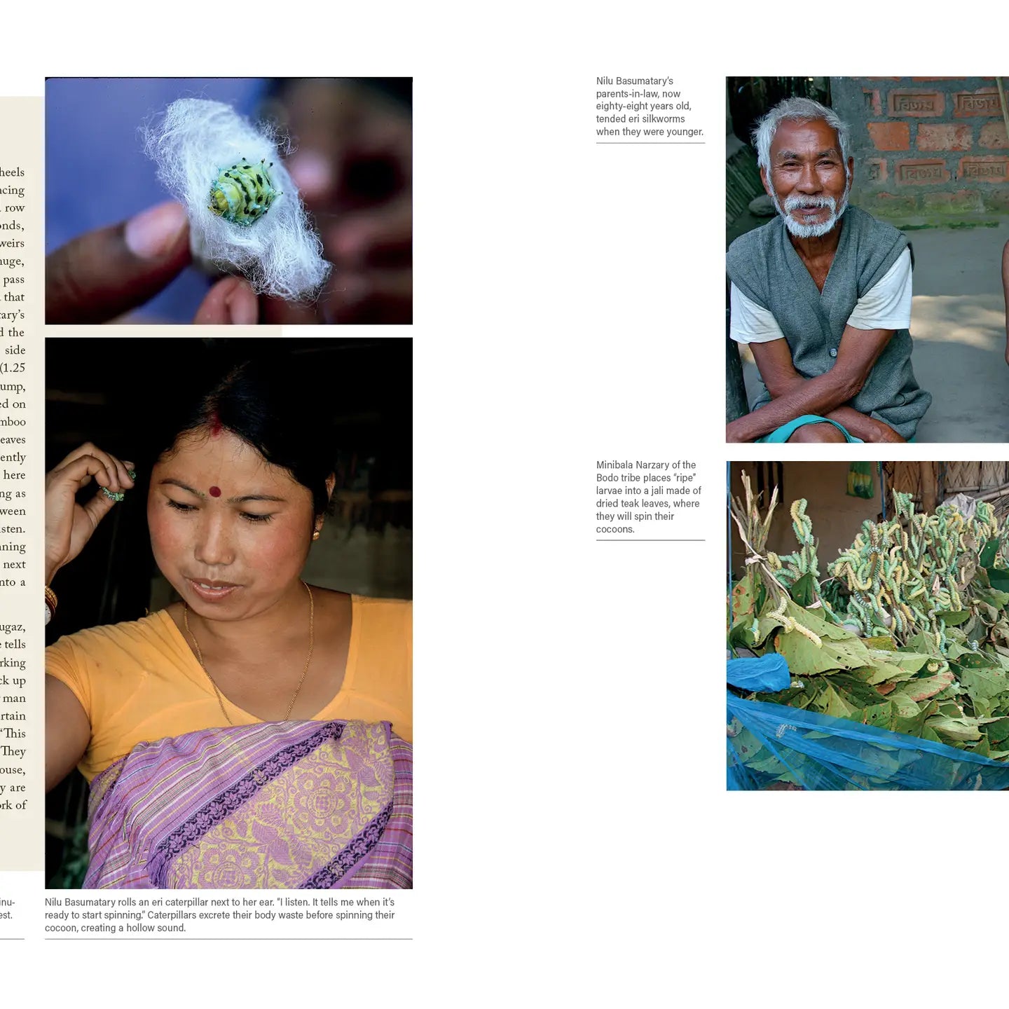 In Search of Wild Silk