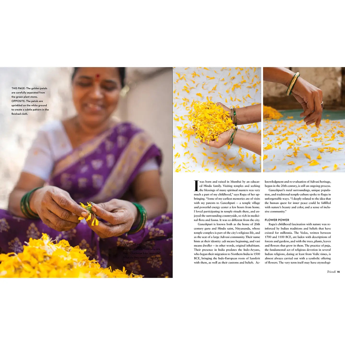 artisan using yellow flower petals for dyeing