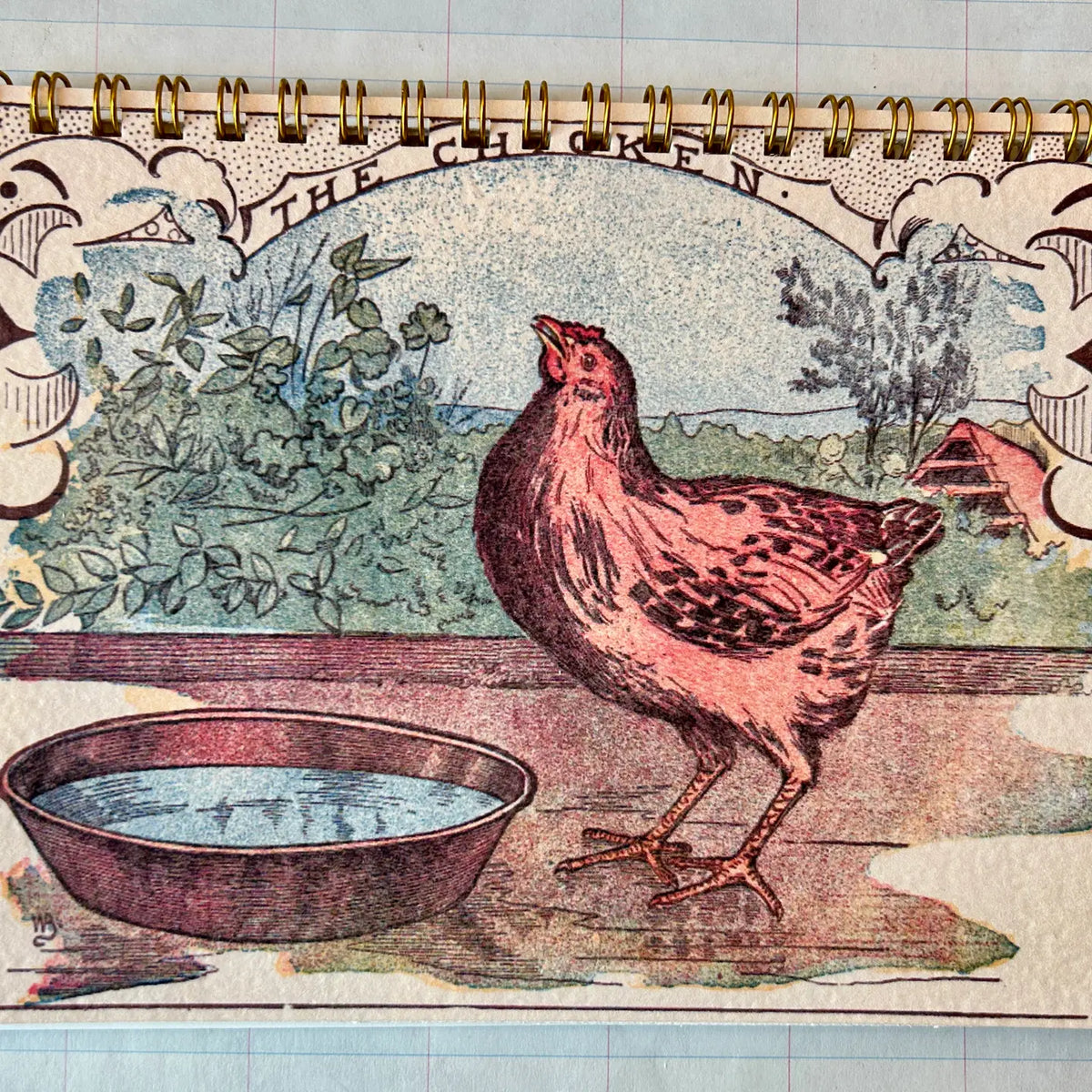 Notebook Chicken The Chicken Notebook – Red Hen Books