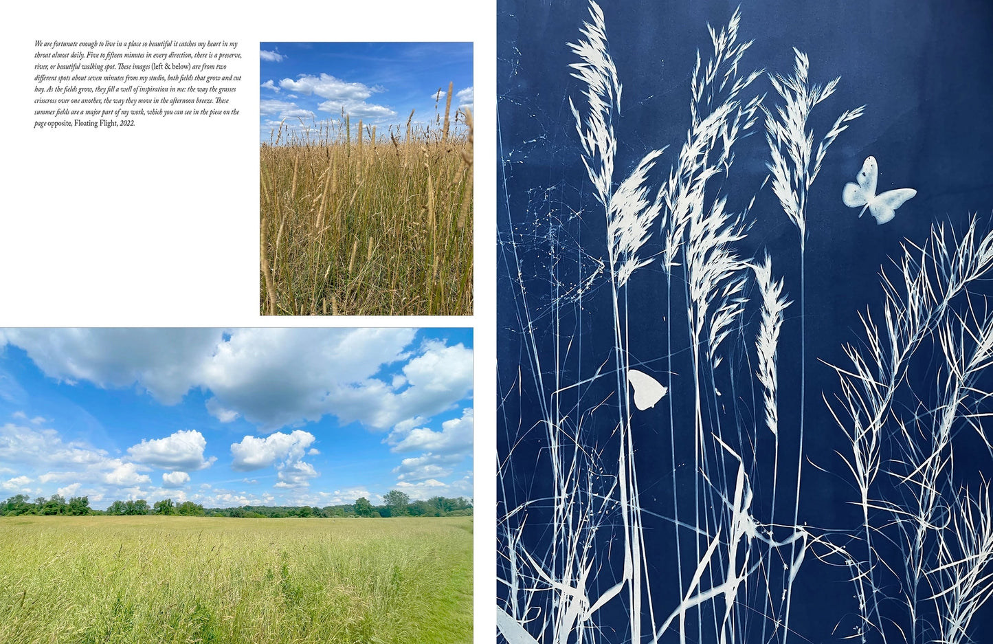 A split-page layout featuring a landscape photograph of a grassy field under a blue sky on the left, and a dark blue sun print of white reeds and butterflies on the right, 