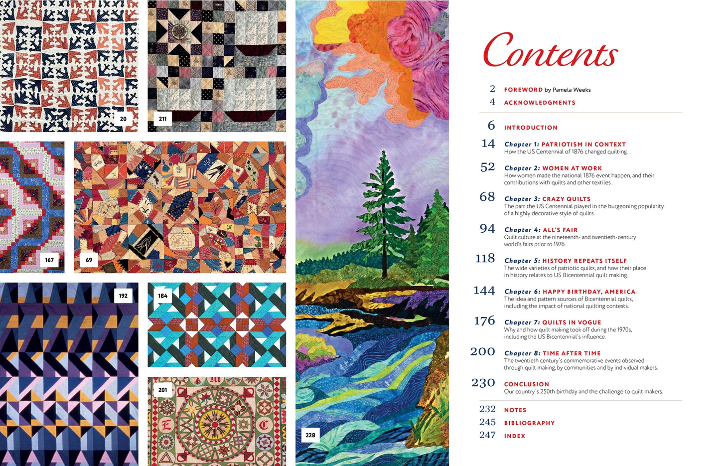 Book content page with quilt patterns and a nature scene