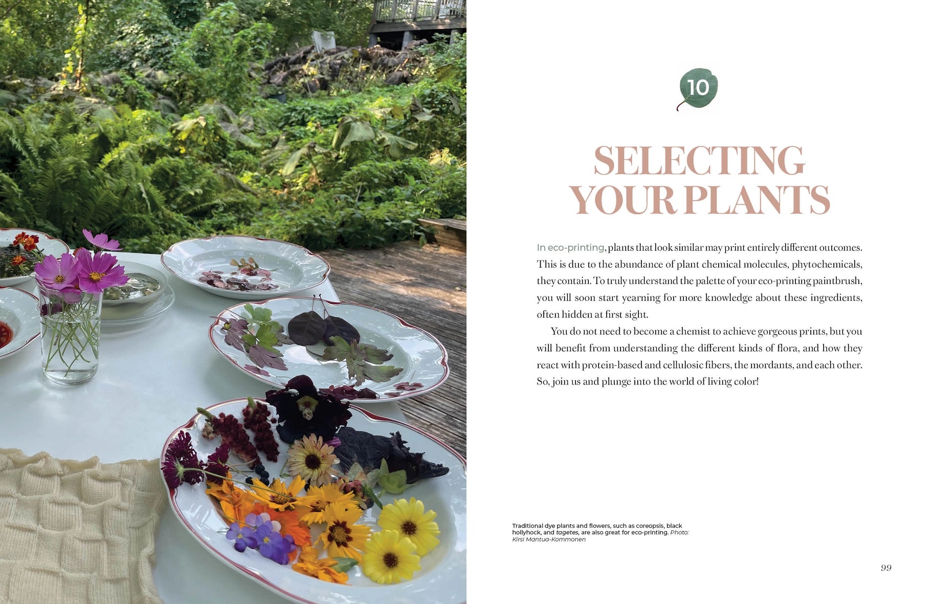 A printed page spread with a photograph of an outdoor table arrangement of colorful dried and fresh flowers on the left, and text on the right headed '10 SELECTING YOUR PLANTS' on a white page.