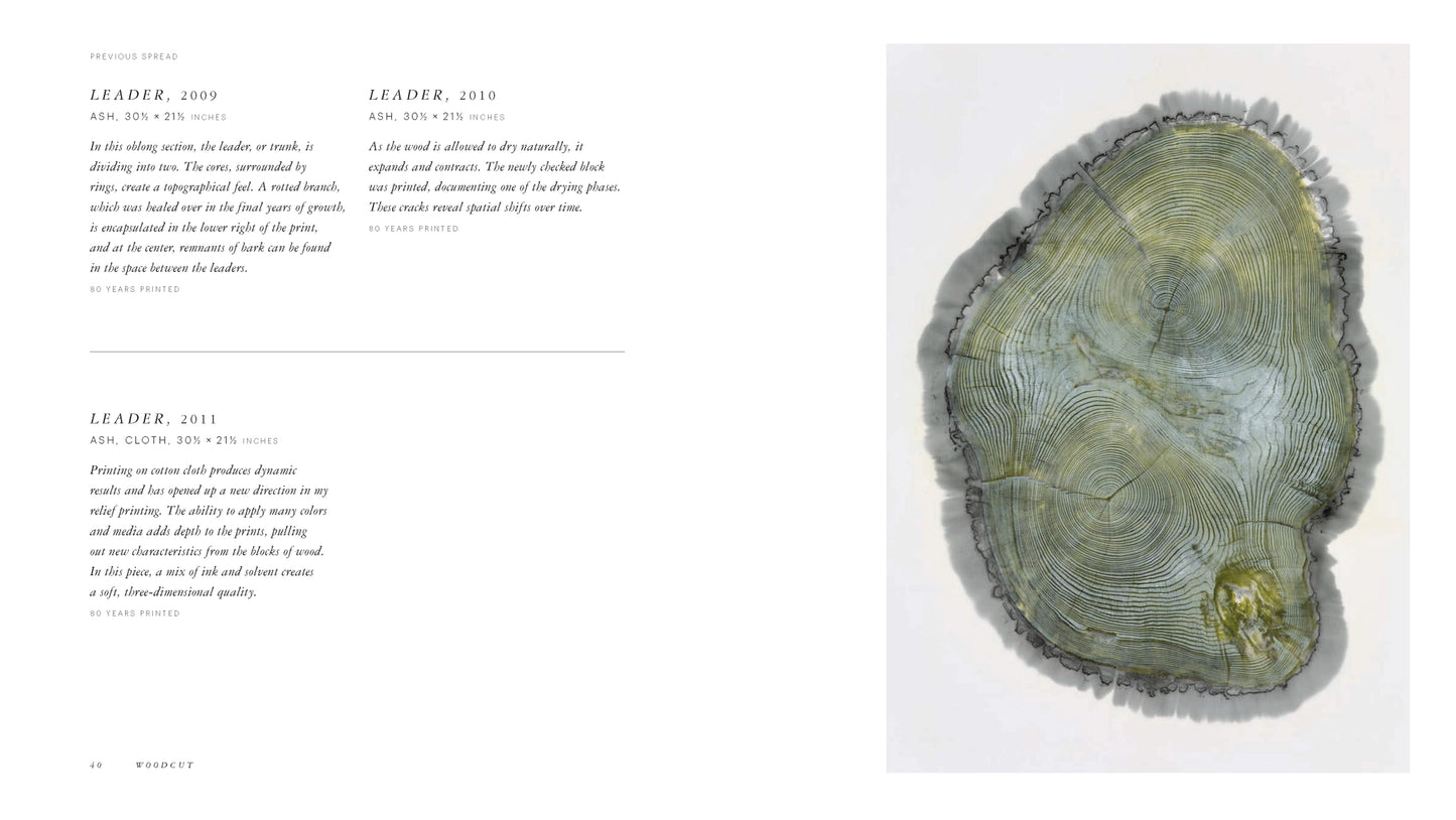 Tree trunk cross-section with growth rings on a white background