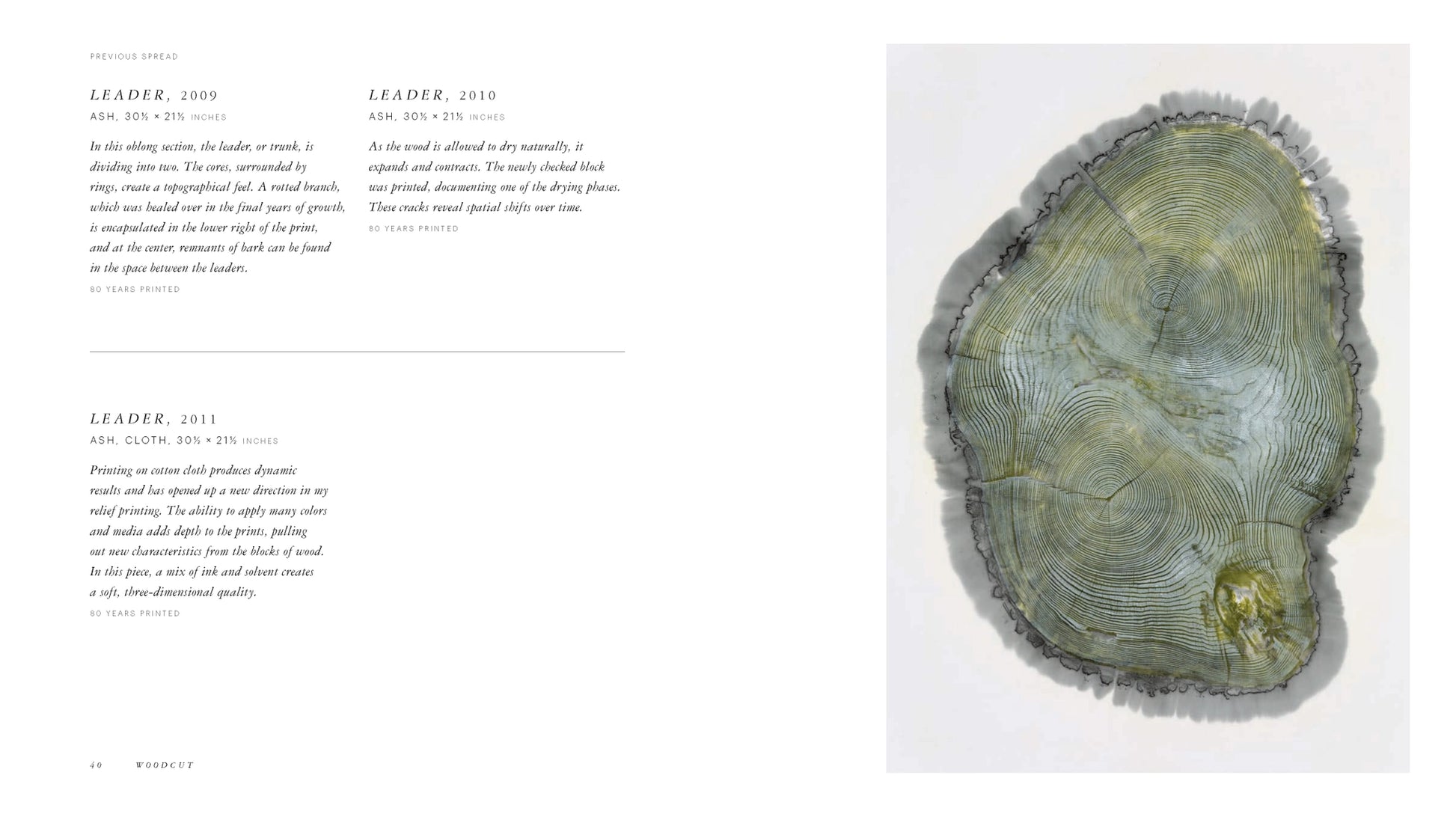 Tree trunk cross-section with growth rings on a white background
