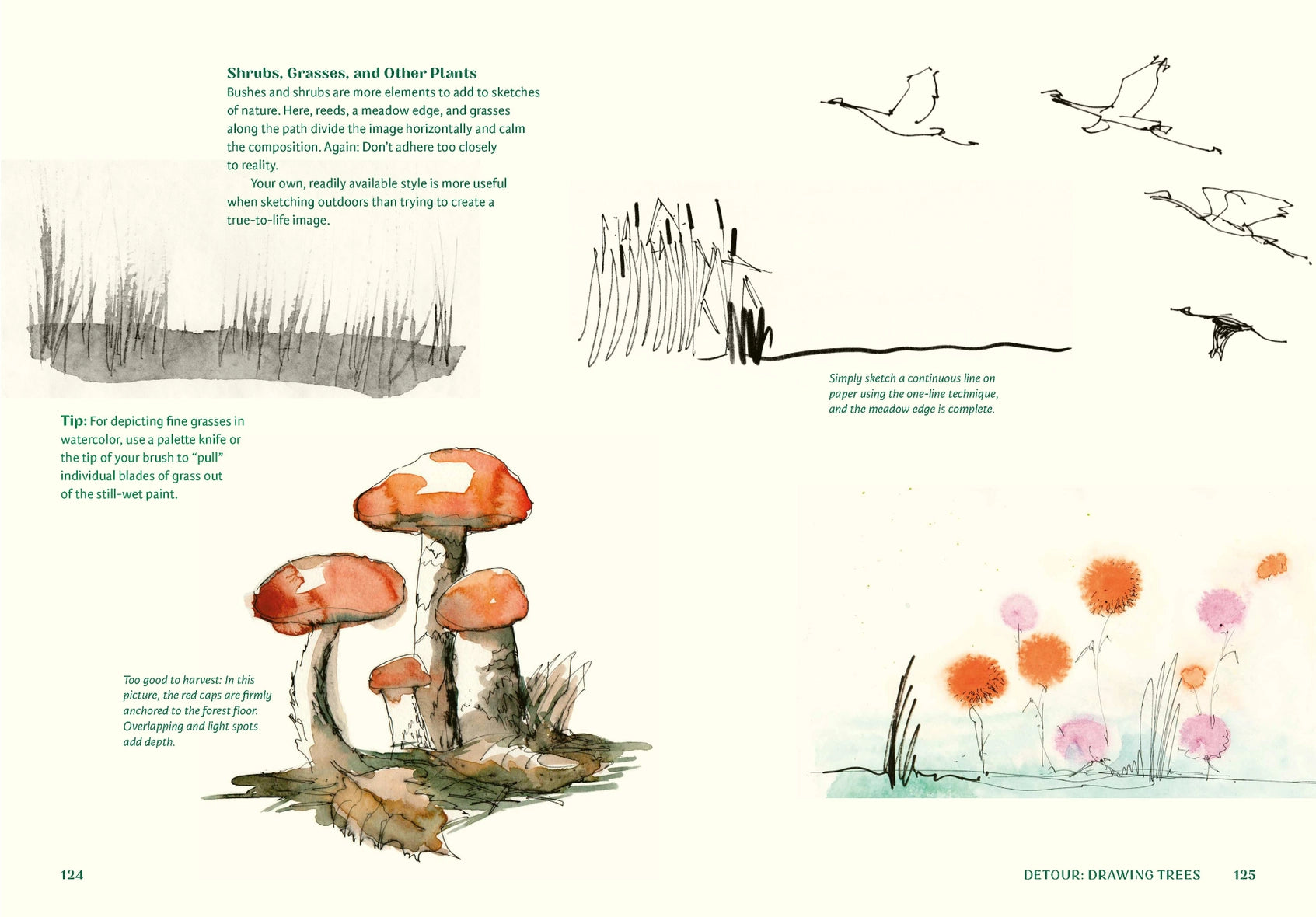 a sketch of mushrooms and flowers