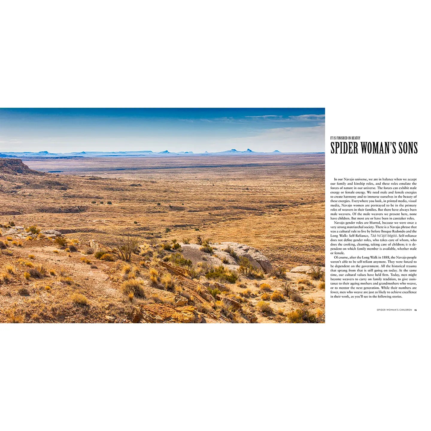 Spider Woman's Children: Navajo Weavers Today