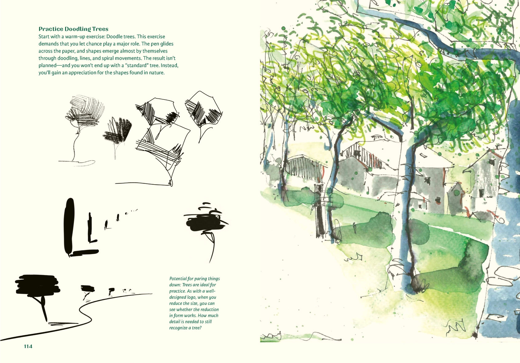 a book page with tree sketching