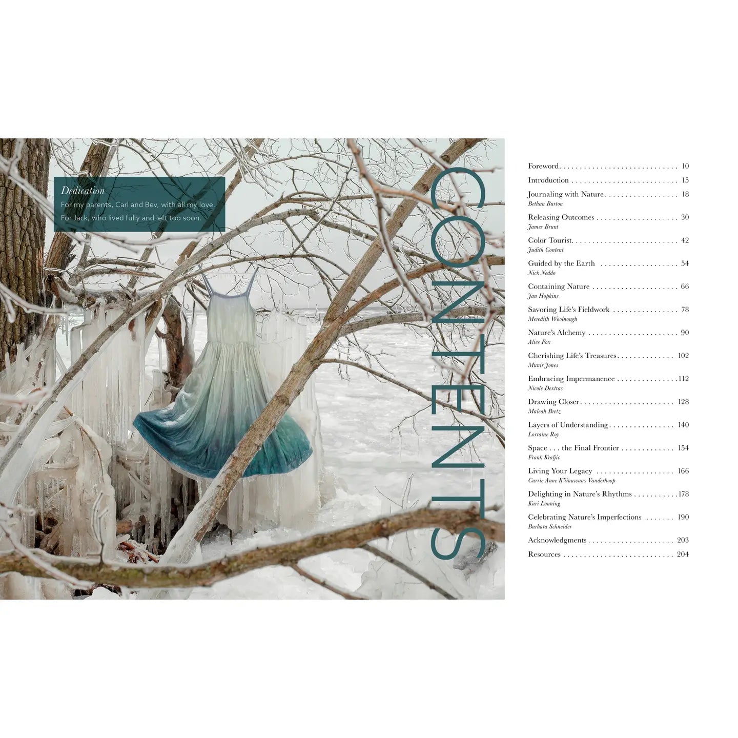 Contents page of a book with a blue dress hanging from a tree in a snowy landscape