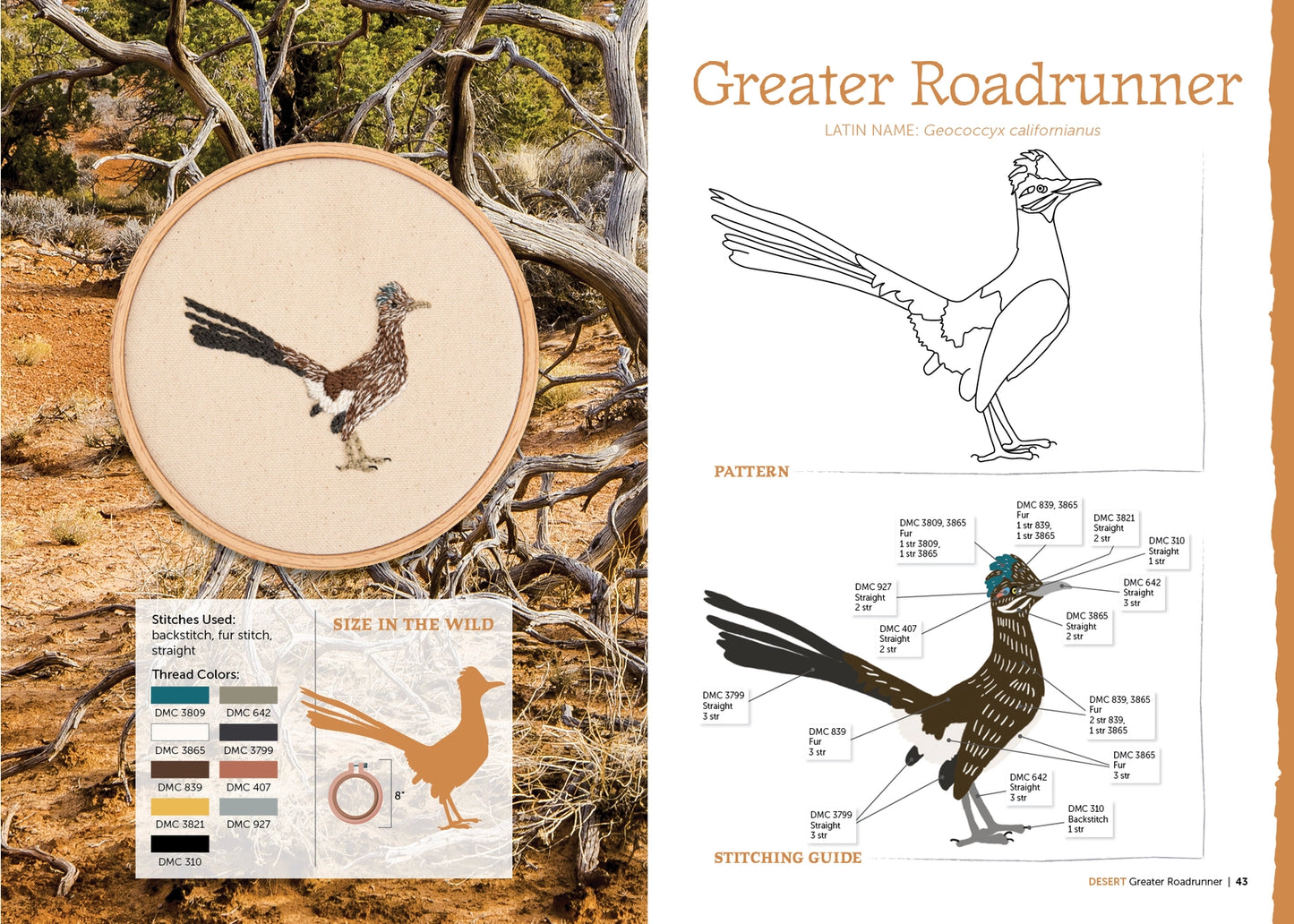 Embroidery hoop with a Greater Roadrunner design, alongside illustrations and a stitching guide on a natural background.