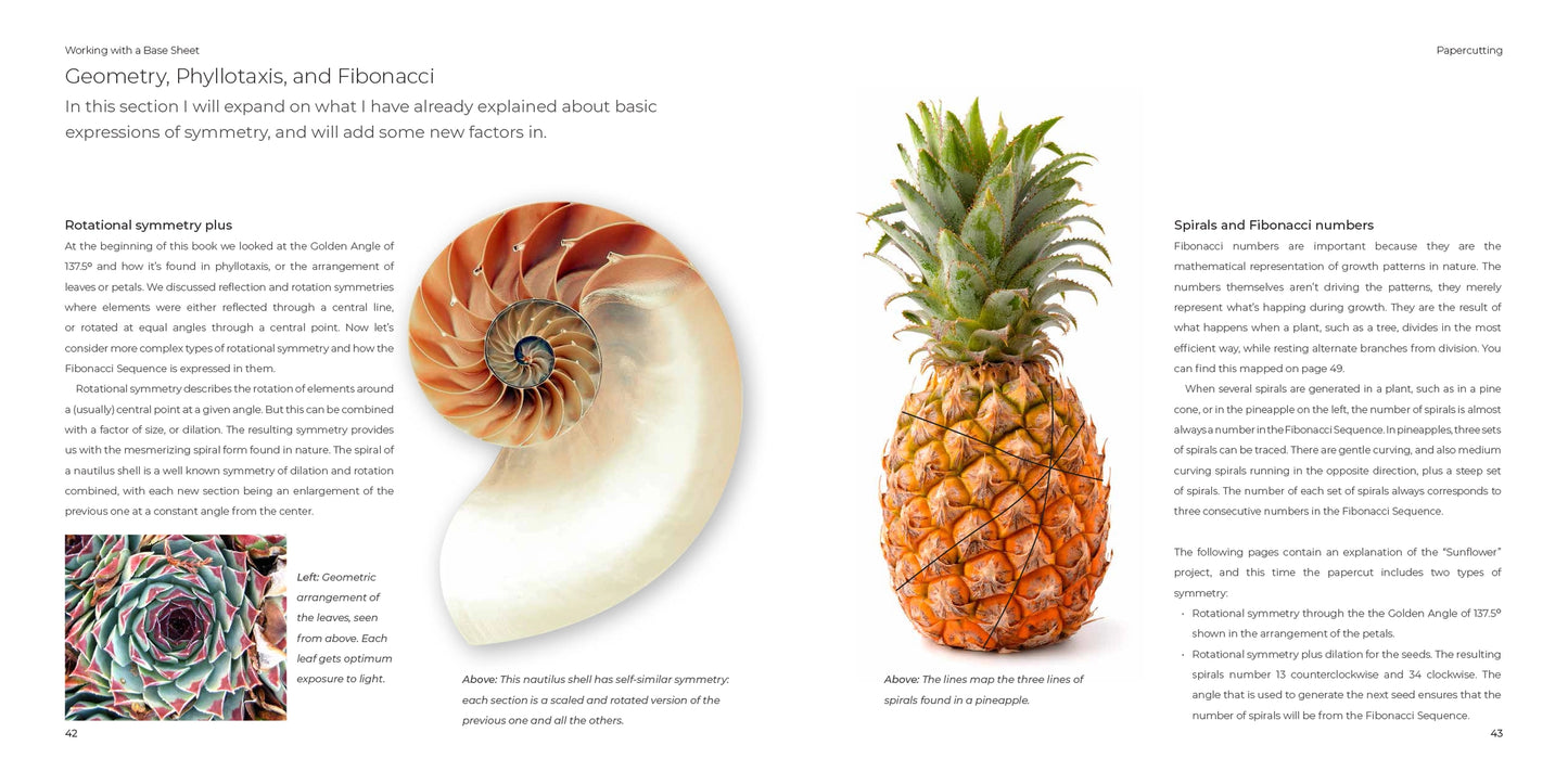A printed page from a book featuring text about geometry, phyllotaxis, and fibonaci, with two large photos of spiral natural forms: a nautilus shell on the left and a pineapple on the right.