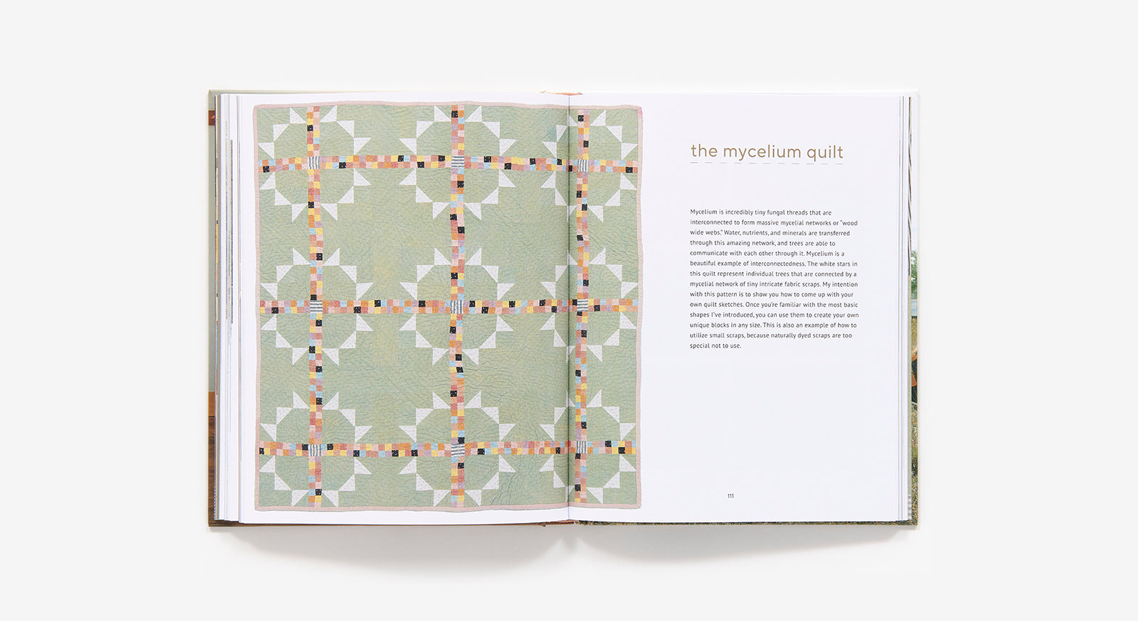 Open book showing a patterned quilt design on a white background