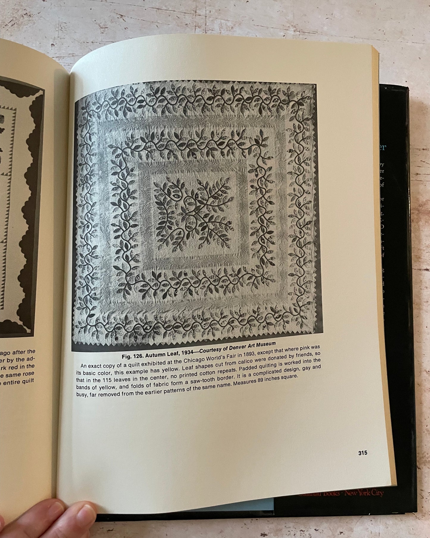 Open book with black and white patterned page held by a hand on a light background