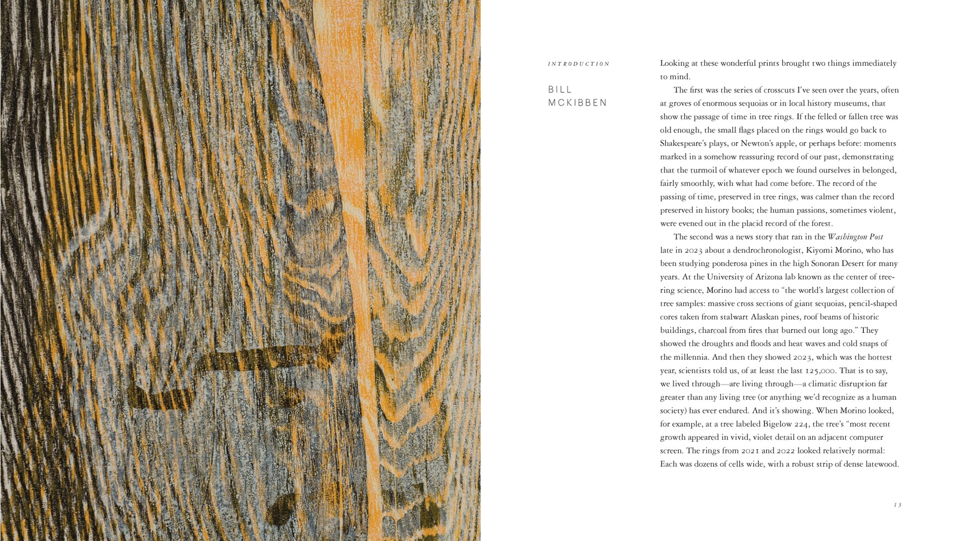 An interior spread of a book featuring a close-up photograph of weathered wood grain on the left page and a text column on the right page.