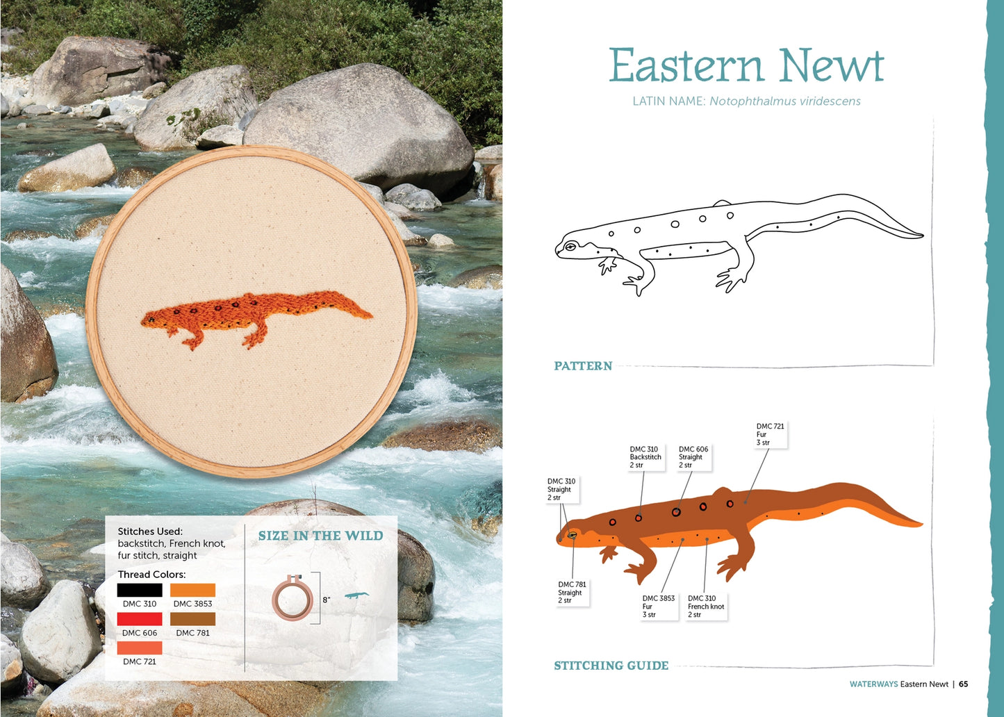 Embroidery hoop with a red salamander design, river background, and diagram on a white card.