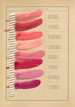 a color range of pink feathers